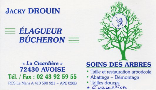 Les métiers de la forêt
